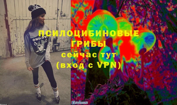 герыч Горнозаводск