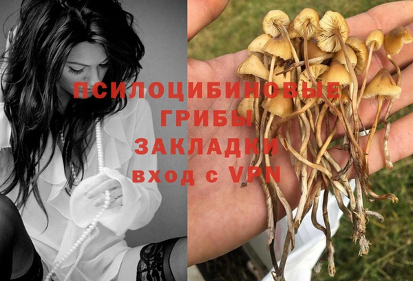 герыч Горнозаводск