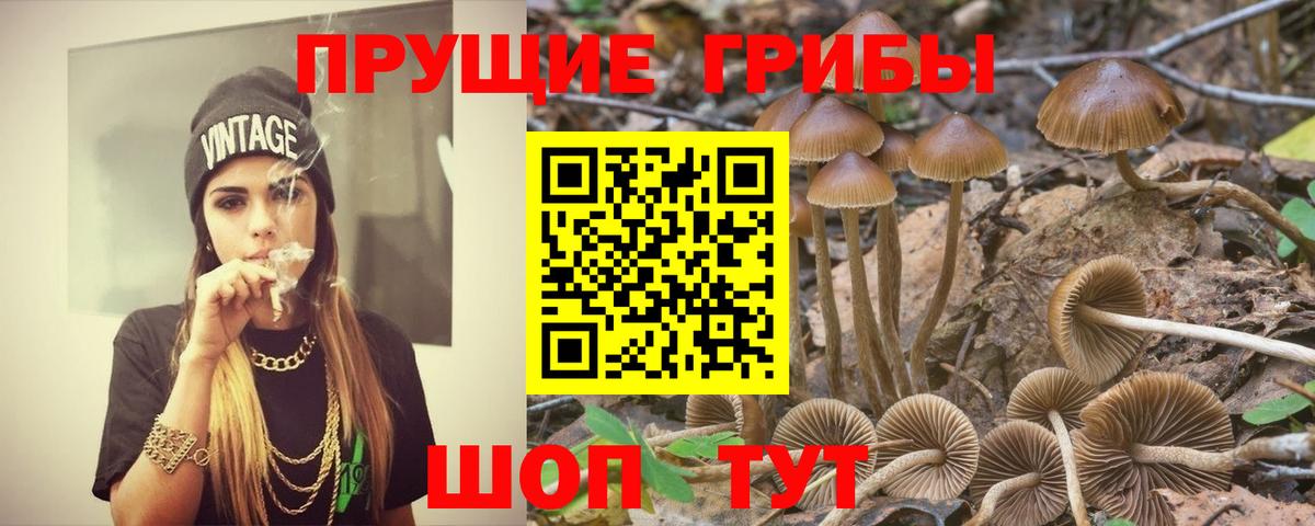 Галлюциногенные грибы прущие грибы Гусев